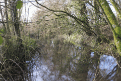10.-Mill-Pond-2