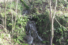 11.-Flow-from-Mill-Pond-2-1