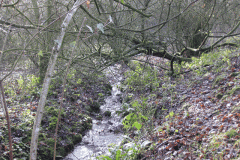 11.-Flow-from-Mill-Pond-2-2