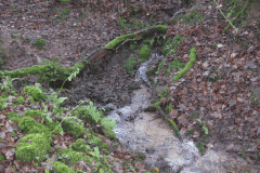 12.-Southern-Headwaters