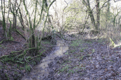 13.-Southern-Headwaters