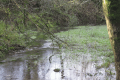 16.-Mill-Pond-3
