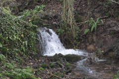 17.-Mill-Pond-3-Outflow-Weir