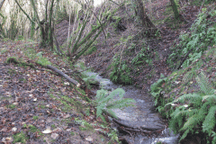 19.-Main-Flow-after-headwaters-join-looking-upstream