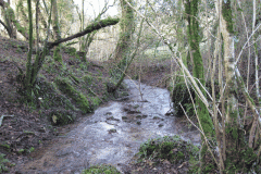 20.-Main-Flow-after-headwaters-join-looking-downstream