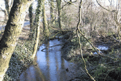 29.-Charlton-House-Looking-Upstream