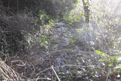 3.-St-Aldhelms-Well-Stream