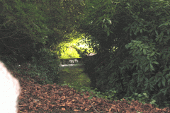 34.-Charlton-House-Looking-upstream-from-West-Bridge
