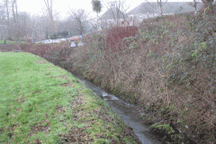 42.-Downstream-from-Charlton-Bridge