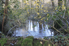 5.-Stream-to-Mill-Pond