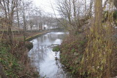 50.-Charlton-Mill-West-Pond-Looking-Downstream