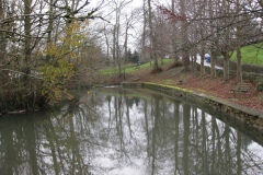 51.-Charlton-Mill-West-Pond-Looking-Upstream