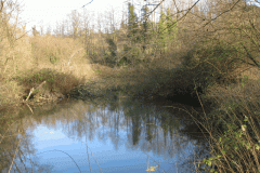 6.-Mill-Pond-2
