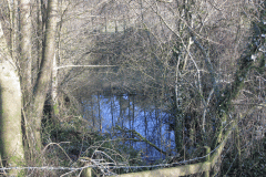 6.-Mill-Pond