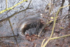7.-Mill-Pond-Outlet