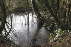 8.-Mill-Pond-2