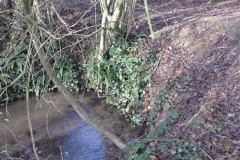 9.-Inlet-into-Mill-Pond-2