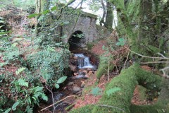 17.-Looking-upstream-to-Lower-Beverton-Bridge