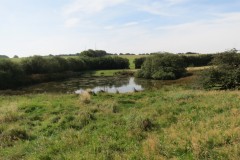 2.-Beverton-Pond