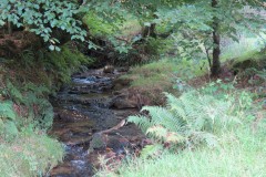 24.-Flowing-below-Beaters-Rocks