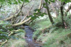 25.-Flowing-below-Beaters-Rocks