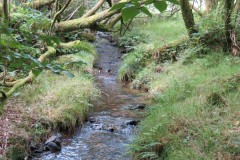 26.-Flowing-below-Beaters-Rocks