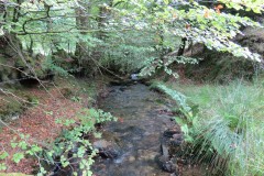 29.-Flowing-below-Beaters-Rocks