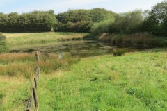 3.-Beverton-Pond