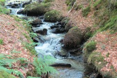31.-Flowing-below-Beaters-Rocks