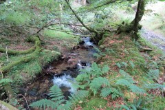 34.-Flowing-below-Beaters-Rocks