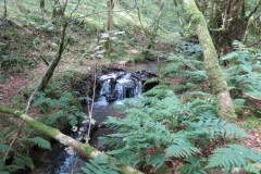 35.-Flowing-below-Beaters-Rocks
