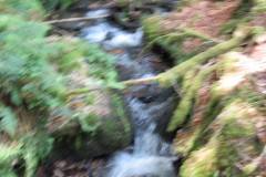 37.-Flowing-below-Beaters-Rocks