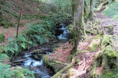 38.-Flowing-below-Beaters-Rocks