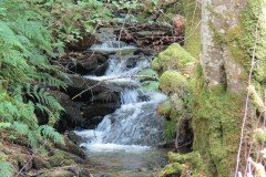 39.-Flowing-below-Beaters-Rocks