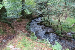 41.-Flowing-below-Beaters-Rocks