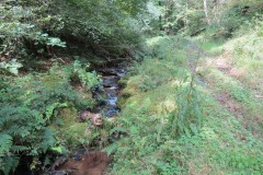 42.-Upstream-from-bridleway-DU-715-ford
