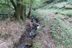43.-Upstream-from-bridleway-DU-715-ford