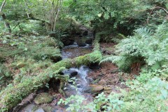 44.-Upstream-from-bridleway-DU-715-ford