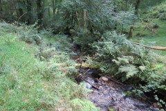 45.-Upstream-from-bridleway-DU-715-ford