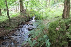 46.-Upstream-from-bridleway-DU-715-ford