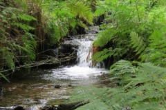 47.-Upstream-from-bridleway-DU-715-ford
