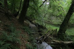 49.-Downstream-from-bridleway-DU-715-ford