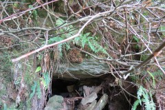 5.-B3190-Beverton-Culvert-downstream-face