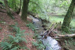 50.-Downstream-from-bridleway-DU-715-ford