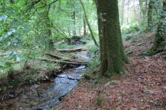 51.-Downstream-from-bridleway-DU-715-ford