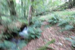 52.-Downstream-from-bridleway-DU-715-ford