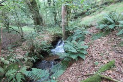 53.-Downstream-from-bridleway-DU-715-ford