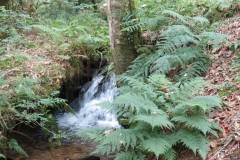 54.-Downstream-from-bridleway-DU-715-ford