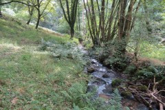56.-Downstream-from-bridleway-DU-715-ford
