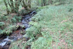 57.-Downstream-from-bridleway-DU-715-ford
